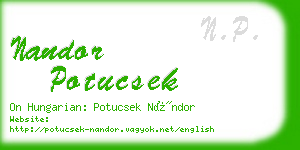 nandor potucsek business card